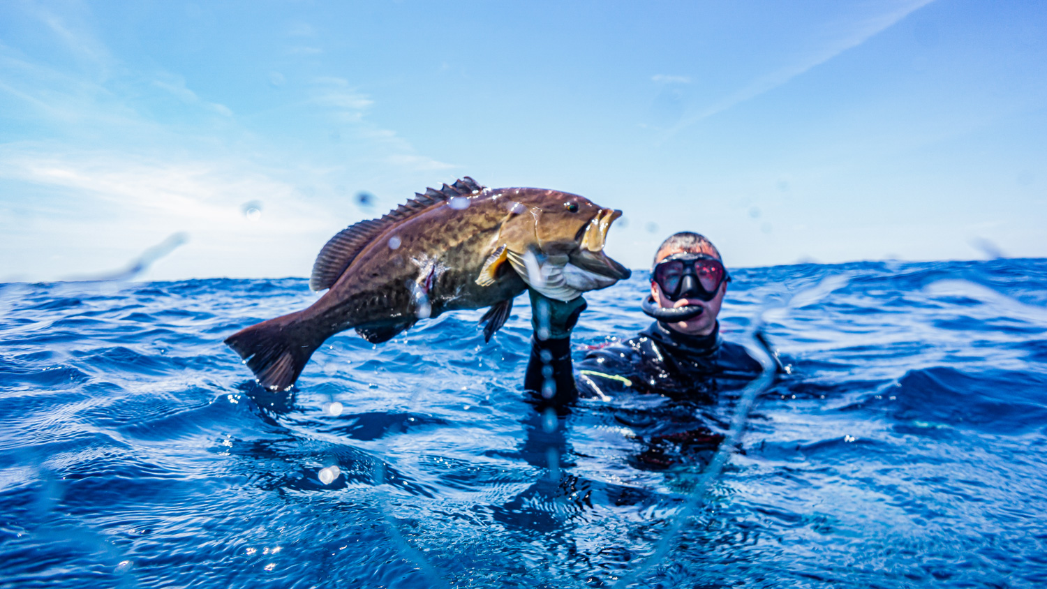 Experience Freediving Myrtle Beach Scuba Diving Coastal Scuba